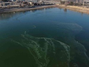 Termometreler Eksi 7 Dereceyi Gösterdi, Gölün Yüzeyi Kısmen Buz Tuttu