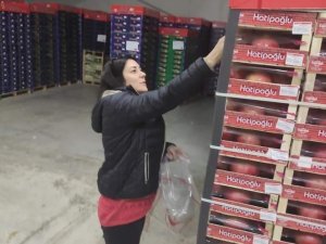 Sebze Meyve İhracatı Yapan Firmalardan İhracat Numunesi Alındı