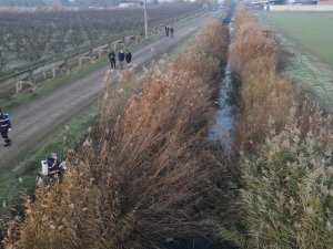 Nazilli Belediyesi’nden Larva İle 365 Gün Mücadele