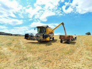 Çks Başvuruları 31 Aralık 2022 Tarihinde Son Bulacak