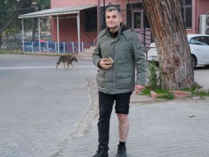 Köpeklerin Saldırısına Uğrayan Bir Kişi Düşerek Yaralandı