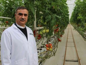 Bu Proje, Dünyayı Tehdit Eden Kuraklığa Karşı Umut Oldu