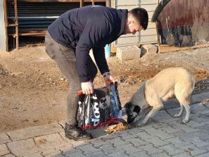 Hayvan Dostu Belediye, Sokak Hayvanlarının Mama Ve Suyunu Eksik Etmiyor