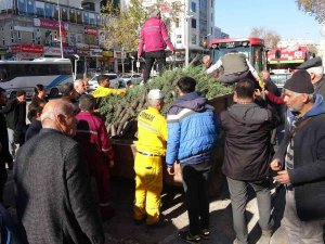 Adıyaman’da, Yılbaşı Öncesi Binlerce Fidan Dağıtıldı