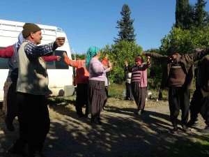 Güle Oynaya Mandalina Hasadı Yaptılar