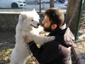 Mikro Çip Uygulamasının Bitmesine Bir Gün Kala Tarım İ̇l Müdürlüğünde Beyanname Yoğunluğu