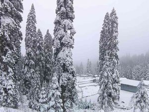 Düzce’nin Yüksek Kesimlerinde Kar Kalınlığı 25 Santimetreye Ulaştı