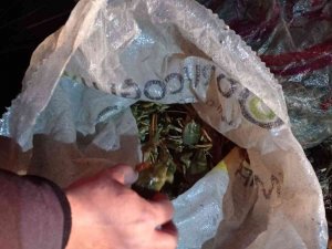 Eğirdir Gölü’nde Kaçak Kerevit Avı Baskını