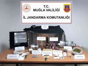 Bodrum’da Jandarmadan Uyuşturucu Operasyonu