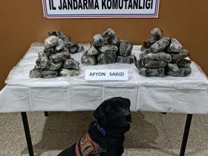 Van’da 33 Kilo Afyon Sakızı Ele Geçirildi