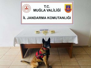 Bodrum’da Jandarma Ekipleri Uyuşturucuya Geçit Vermedi