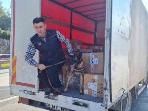 24 Saatte 15 Bin Araç Girdi