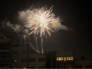 Avusturya Yeni Yıla Havai Fişeklerle Girdi