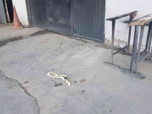 Ayakkabısını Alıp Kaçan Köpeğin Peşinden Gitmişti, Feci Olayda Hayatını Kaybetti