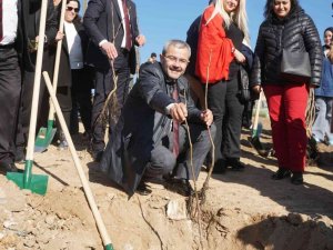 Çivril’de 15 Temmuz Şehitleri Anısına 300 Ceviz Fidanı Toprakla Buluşturuldu