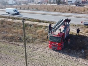 Elektrik Direğinin Tepesinde Mahsur Kalan Kediyi İtfaiye Kurtardı