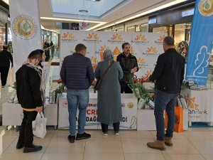 Adıyaman’da Fidan Dağıtımları Devam Ediyor