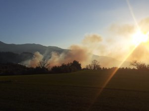 Osmaniye’de Orman Yangını