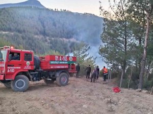 Osmaniye’nin Düziçi İlçesinde Ormanlık Alanda Çıkan Yangın Kontrol Altına Alındı