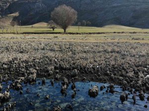 Van Gölü’nde Sular Çekildi, Su Altı Peribacaları Ortaya Çıktı