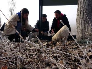 Hem İsrafın Önüne Geçiyorlar Hem De Sokak Hayvanlarına ‘Hayat’ Oluyorlar
