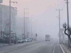 Darıca’da Sis Etkili Oldu