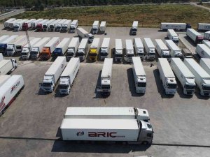 Üzümde Rakip Ülke Sayısı Arttı, İhracatta Düşüş Yaşandı