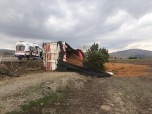 Talaş Yüklü Kamyon Devrildi, Sürücüsü Yaralandı