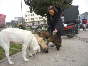 5 Şişe Atık Bir Cana Mama Oldu