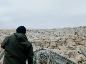 8 Yıldır Küçük Bir Adanın Tek Tilkisini Besliyor