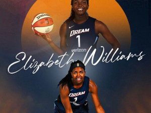 Çbk Mersin Yenişehir Belediyesi, Elizabeth Williams’ı Transfer Etti