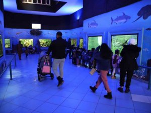 Gaziantep’te Yırtıcı Hayvanlar İçin Safari Park Kurulacak