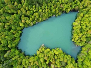 Bolu 1 Milyon 22 Bin 693 Turisti Ağırladı