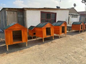 Haytap’tan Yüksekova’daki Sokak Hayvanları İçin Kulübe Yardımı