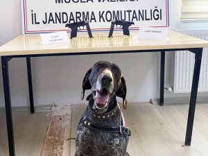 Uygulamada Kurusıkıdan Bozma 2 Tabanca Ele Geçirildi