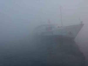 Sis Adalar’ı Esir Aldı