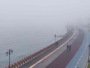 Göz Gözü Görmüyor: Sis Şehri Kapladı