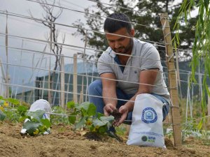 Pazar Atıkları Üretime Can Oluyor