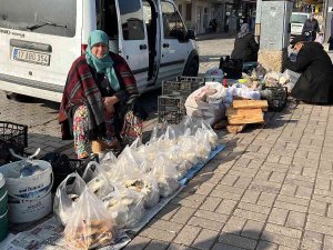 Yaban Mantarları Köylünün Gelir Kapısı Oldu