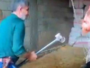 Mardin’de ‘Boğaya Şiddet’ Davası 16 Şubat’a Ertelendi