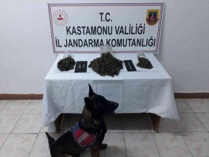 Turşu Bidonu Ve Kavanozlara Esrar Zulalayan Şahıs Jandarmadan Kaçamadı