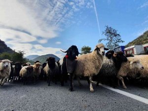 Kdz. Ereğli’de 19 Köyde Karantina Uygulanmaya Başladı