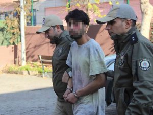Evden Kaçan Kediyi Acımasızca Yumrukladı, O Anlar Kamerada