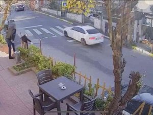 Pendik’te Vicdansız Sürücü Kediyi Ezip Kaçtı, O Anlar Kameraya Yansıdı