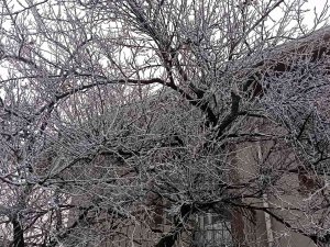 Kırşehir’i Sis Kapladı