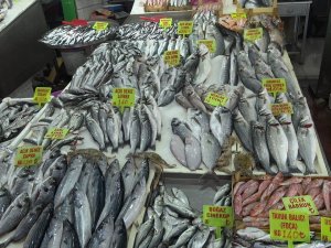 Balık Tezgahları Çinekop İle Şenlendi