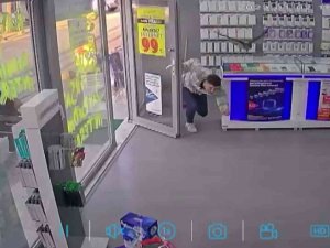 Beykoz’da Atmaca Yakaladığı Serçe İle Telefon Mağazasına, Ortalığı Birbirine Kattı