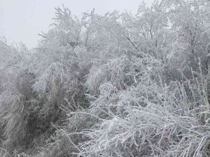 Elazığ’da Kırağı Ağaçları Beyaza Bürüdü