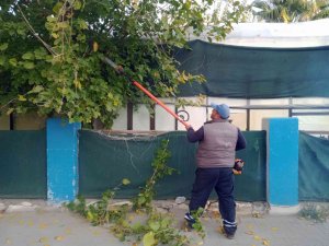 Ortaca’da Yeşil Alanlarının Mevsimsel Bakımları Yapılıyor