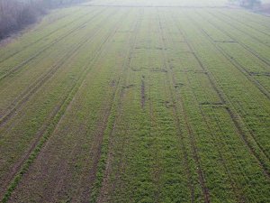 İ̇rem Bağları’nda Bahar Havası Yaşanıyor